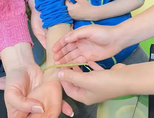 Neue tierische Bewohner