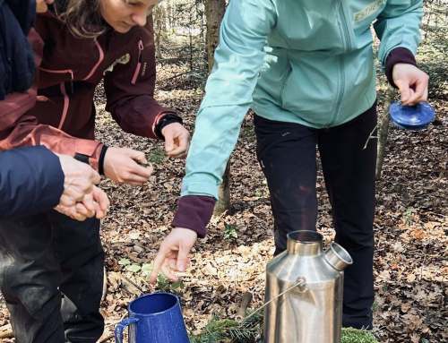 Von Großelternbesuch bis Wald-Fortbildung: besondere Tage in unserer KiTa