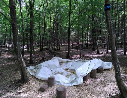 Wiederholte Sachbeschädigung auf Waldstück der KiTa