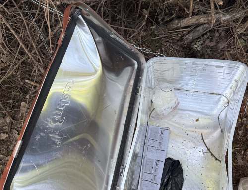 Erneuter Vandalismus auf dem Waldstück unserer KiTa